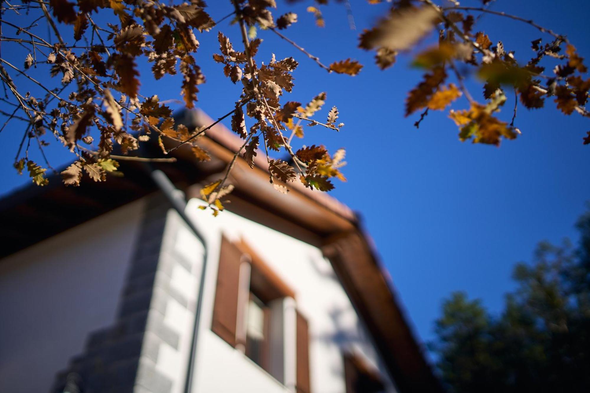 Arpetxea Casa Rural Roncal Zewnętrze zdjęcie